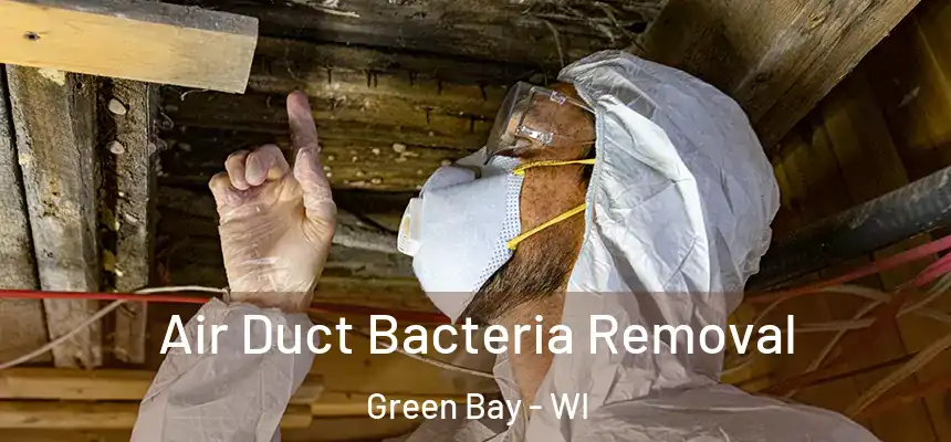 Air Duct Bacteria Removal Green Bay - WI