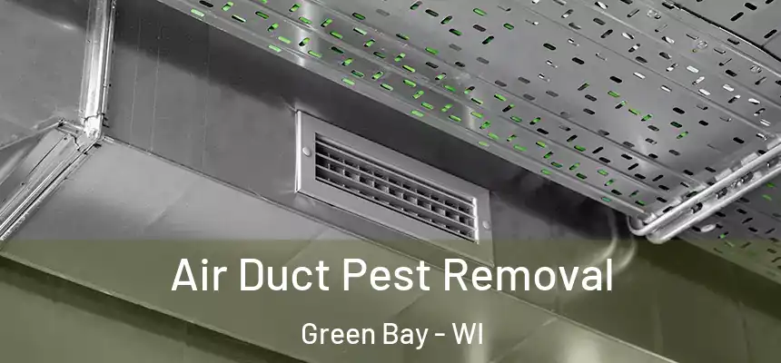 Air Duct Pest Removal Green Bay - WI