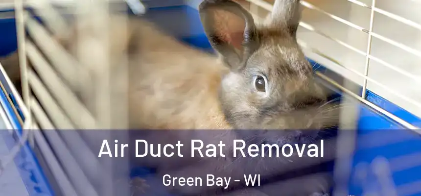 Air Duct Rat Removal Green Bay - WI