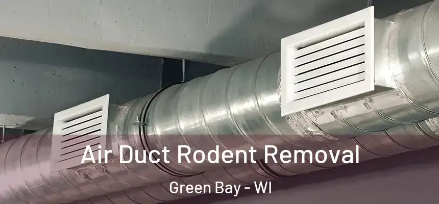 Air Duct Rodent Removal Green Bay - WI