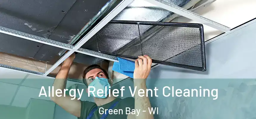 Allergy Relief Vent Cleaning Green Bay - WI