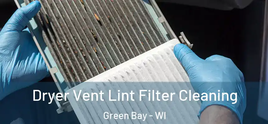 Dryer Vent Lint Filter Cleaning Green Bay - WI