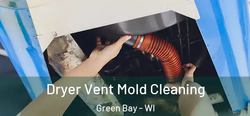 Dryer Vent Mold Cleaning Green Bay - WI