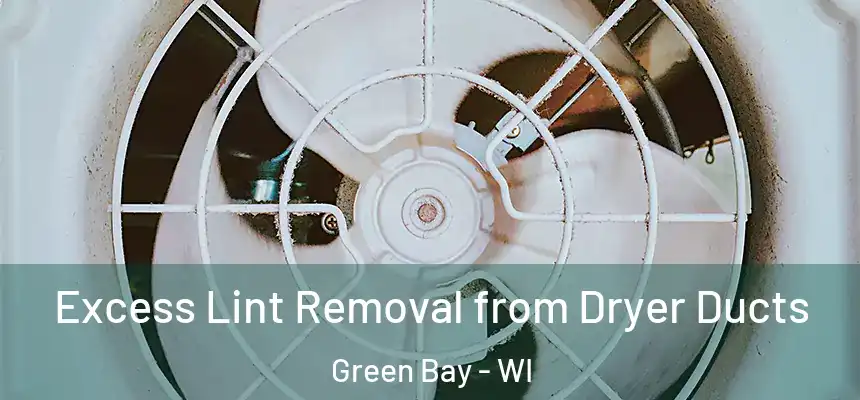 Excess Lint Removal from Dryer Ducts Green Bay - WI