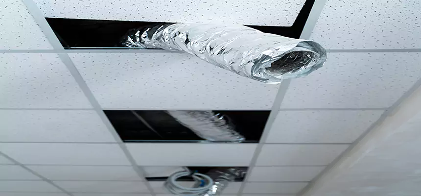 Our Air Duct Pet Hair Removal Services in Green Bay, WI