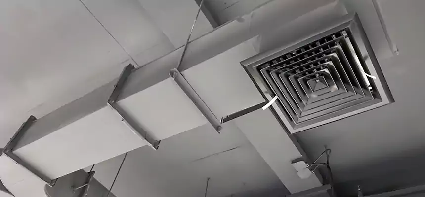 Restorative Allergy Relief Vent Cleaning – Coil, Blower & Housing Detail in Green Bay