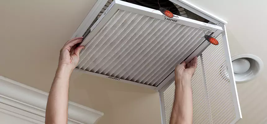 Our Insect Removal from Air Ducts Services in Green Bay, WI