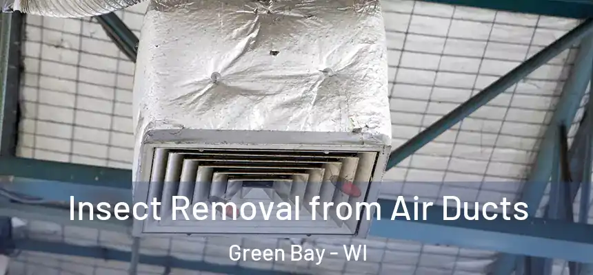  Insect Removal from Air Ducts Green Bay - WI