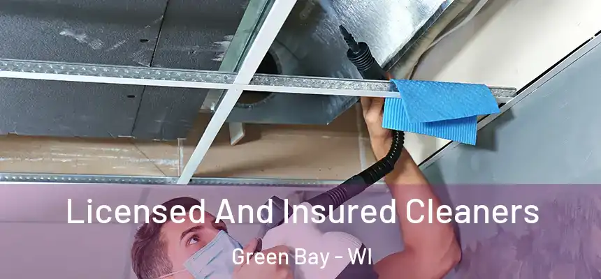  Licensed And Insured Cleaners Green Bay - WI
