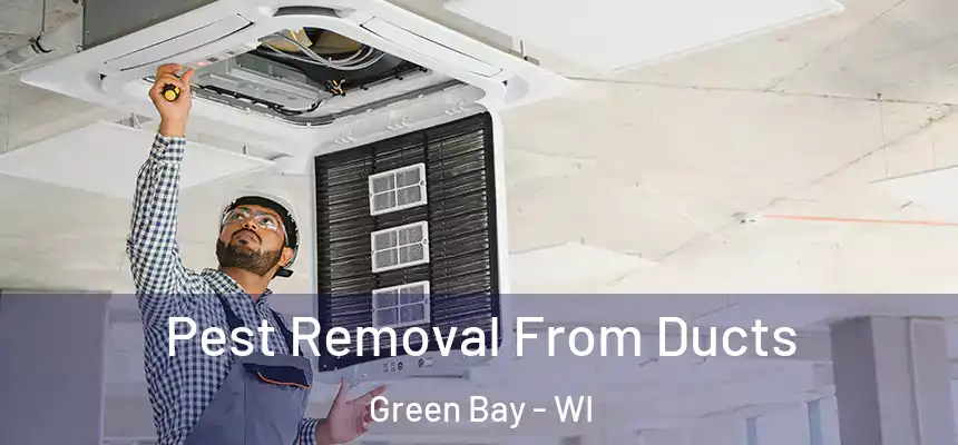 Pest Removal From Ducts Green Bay - WI