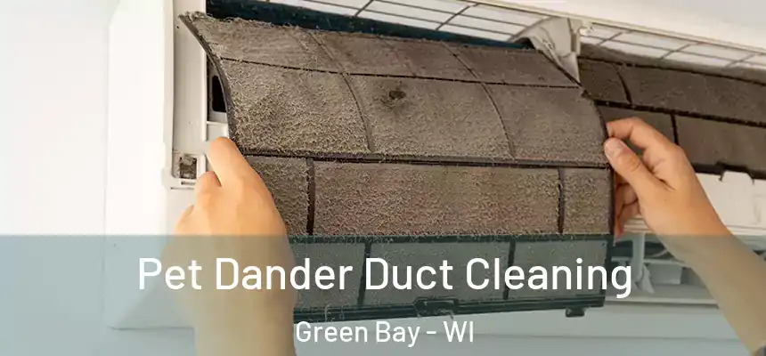 Pet Dander Duct Cleaning Green Bay - WI