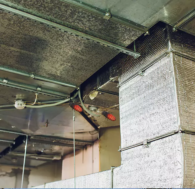 Why Homeowners & Businesses Trust Us in Green Bay, WI?