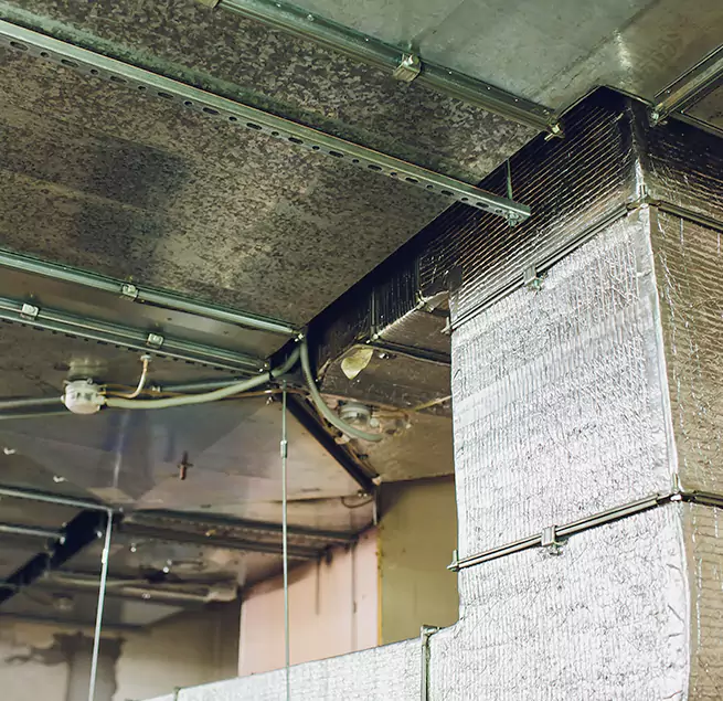 Why Homeowners & Businesses Trust Us in Green Bay, WI?